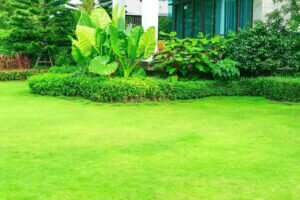 Remove All Food Sources