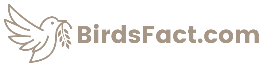 Birds Fact