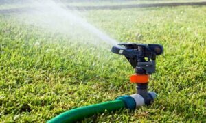 Install A Motion Detection Sprinkler